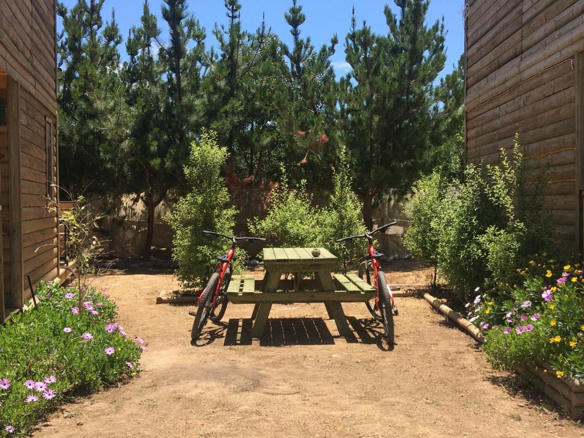 Cabana En Tunquen Con Parrilla, Fogon, Piscina Y Bosque Экстерьер фото