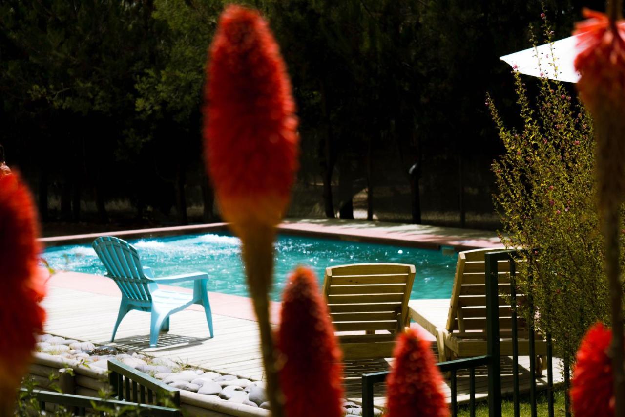 Cabana En Tunquen Con Parrilla, Fogon, Piscina Y Bosque Экстерьер фото