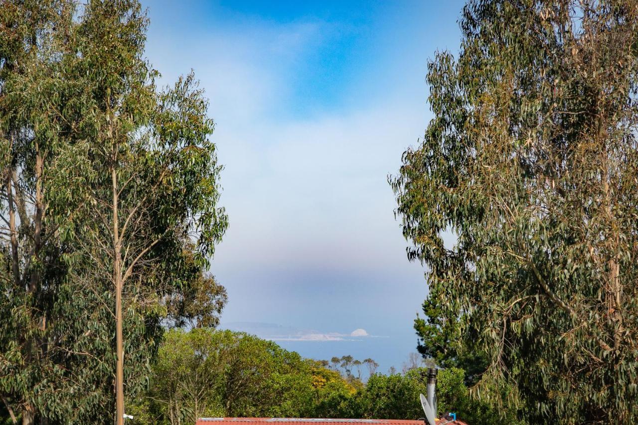 Cabana En Tunquen Con Parrilla, Fogon, Piscina Y Bosque Экстерьер фото